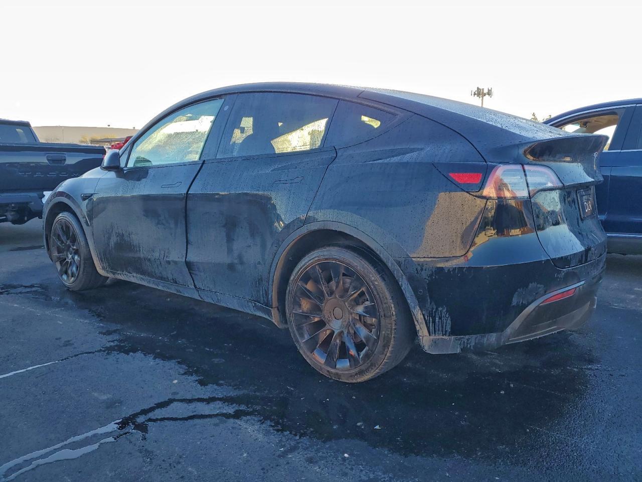 Lot #3318116369 2022 TESLA MODEL Y