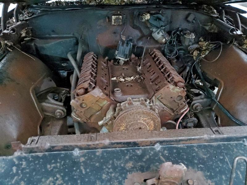 1969 PONTIAC GTO #3304569447