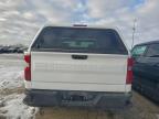 Lot #3317735102 2023 CHEVROLET SILVERADO