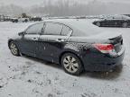 Lot #3303878710 2009 HONDA ACCORD EXL