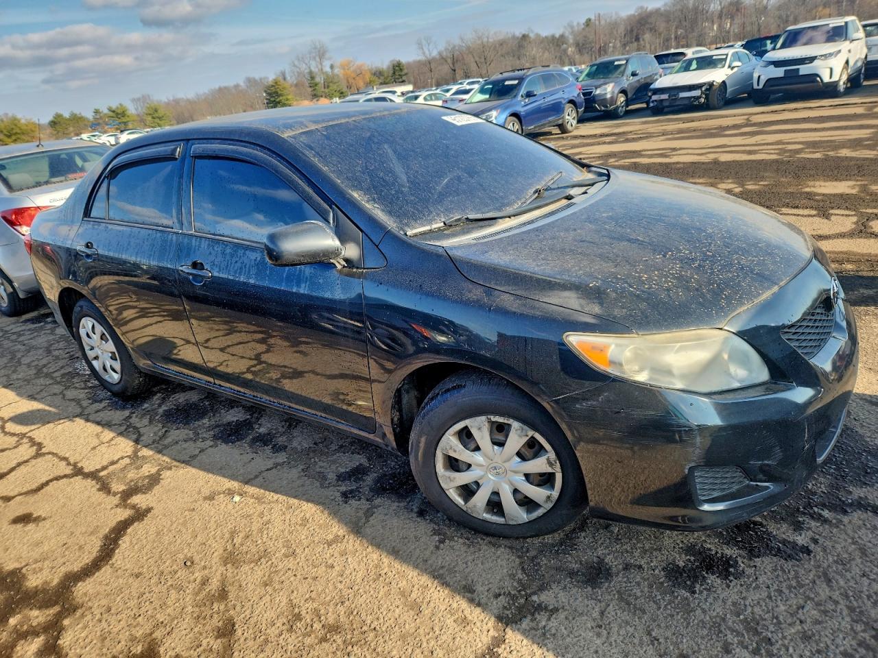 Lot #3308214343 2010 TOYOTA COROLLA BA