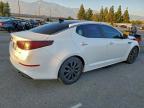 Lot #3309726839 2014 KIA OPTIMA LX