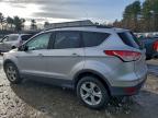 Lot #3303726443 2014 FORD ESCAPE SE