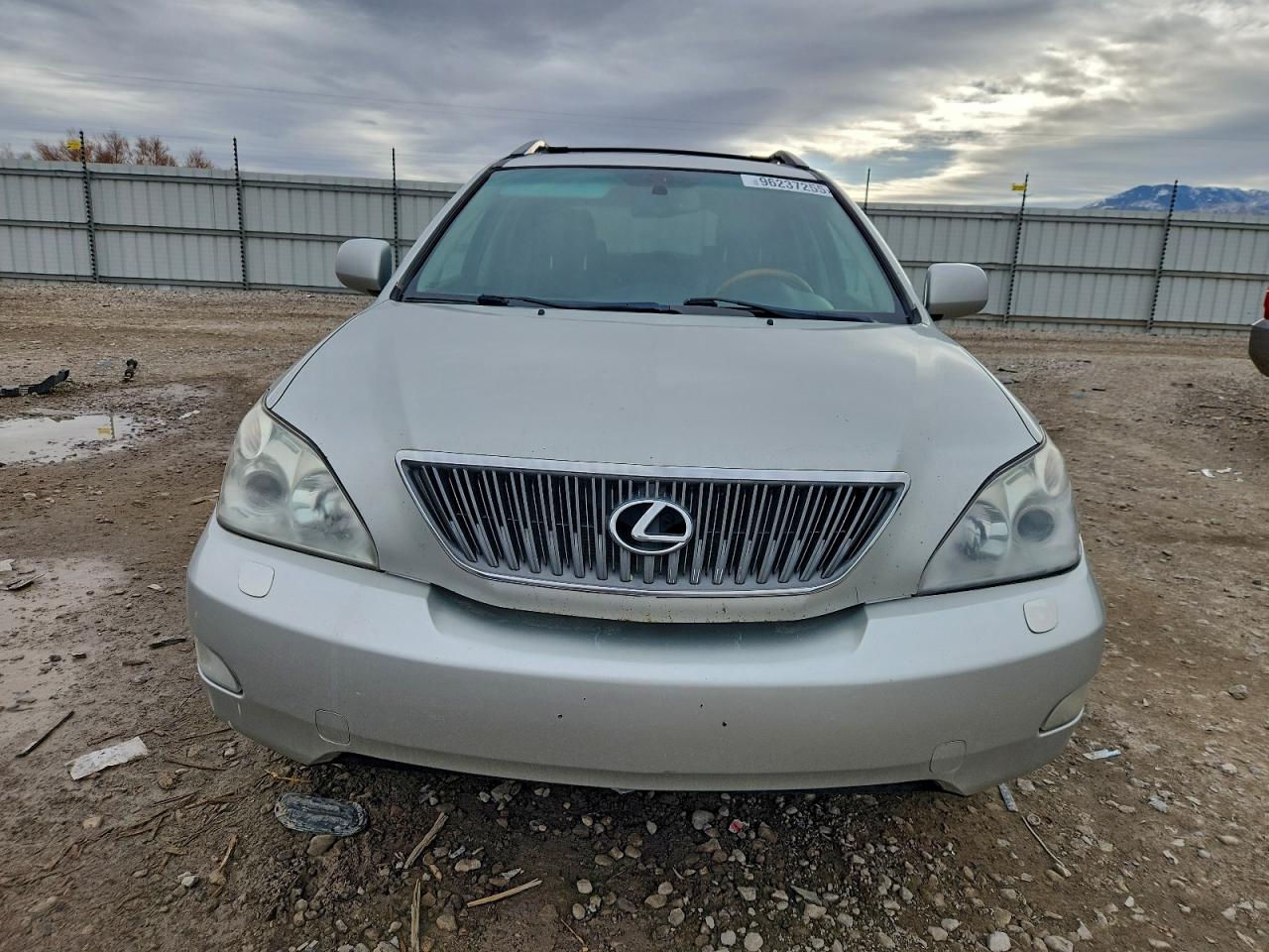 Lot #3309624061 2007 LEXUS RX 350