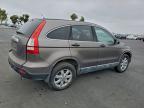 Lot #3311506238 2009 HONDA CR-V EX