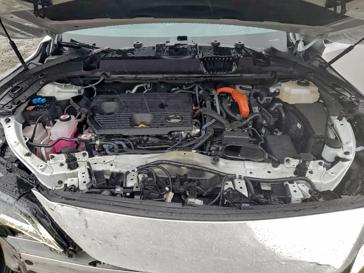 Lot #3317076995 2024 LEXUS RX 350H BA