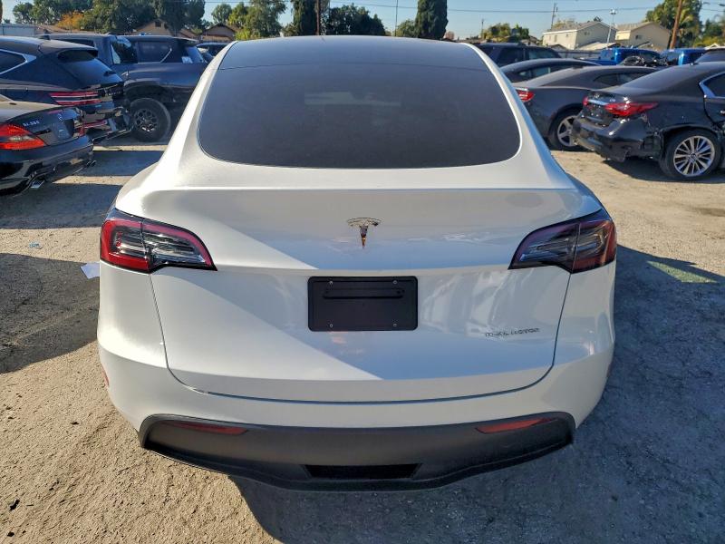 2024 TESLA MODEL Y #3305446076