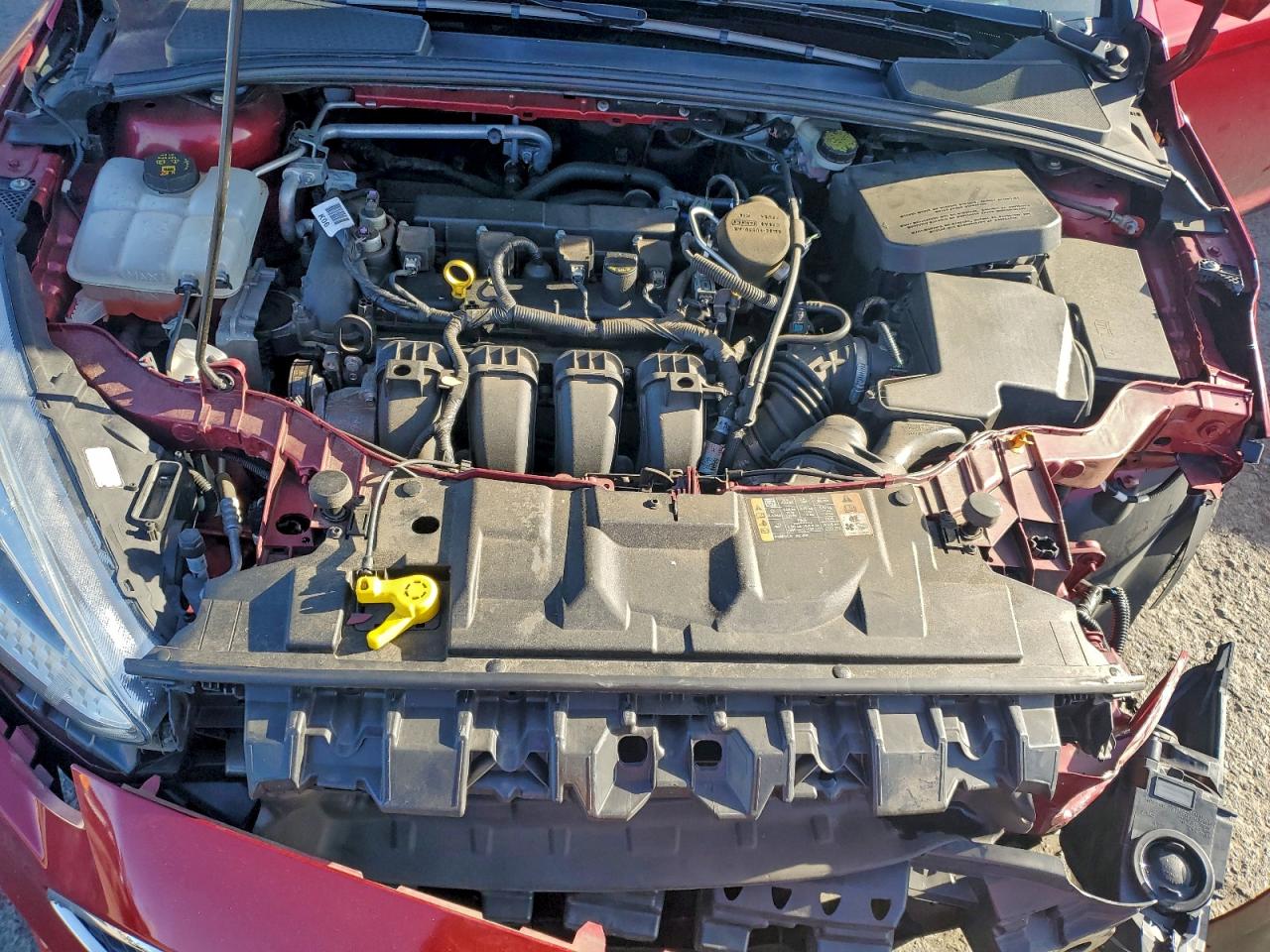 Lot #3311622223 2016 FORD FOCUS SE