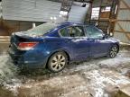 Lot #3318927957 2010 HONDA ACCORD EXL