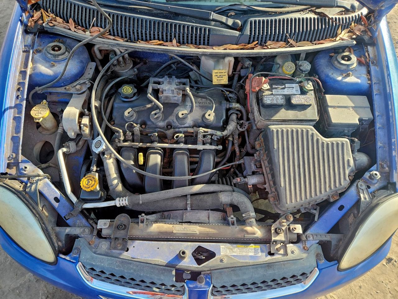 Lot #3303640929 2004 DODGE NEON