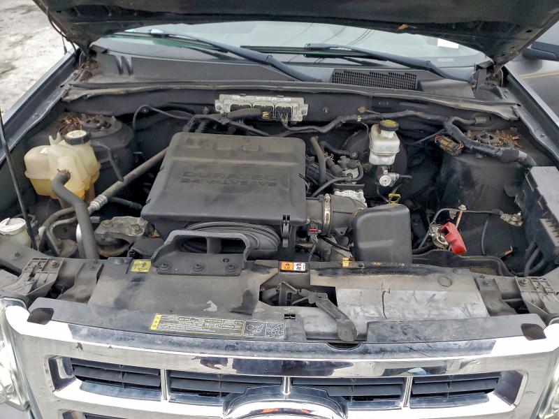 2010 FORD ESCAPE XLT #3304549456