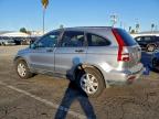 Lot #3305315352 2007 HONDA CR-V EX