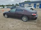 Lot #3301664652 2002 LEXUS ES 300