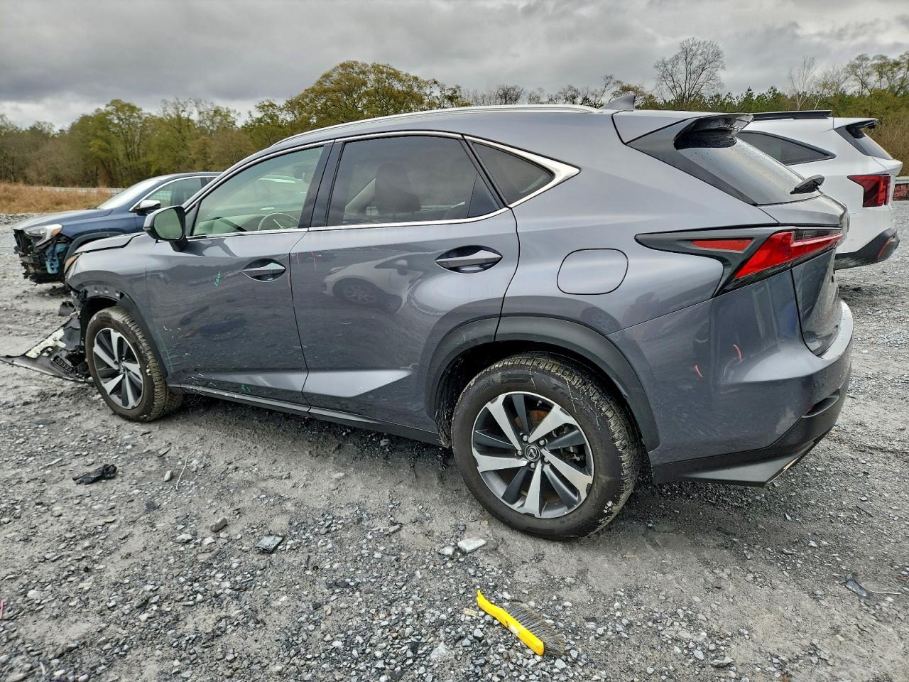 LEXUS NX 300