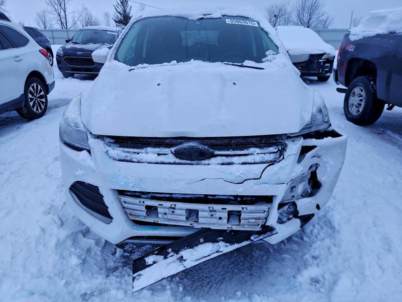 2013 FORD ESCAPE SE #3312404123