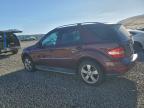 Lot #3308436275 2009 MERCEDES-BENZ ML 350