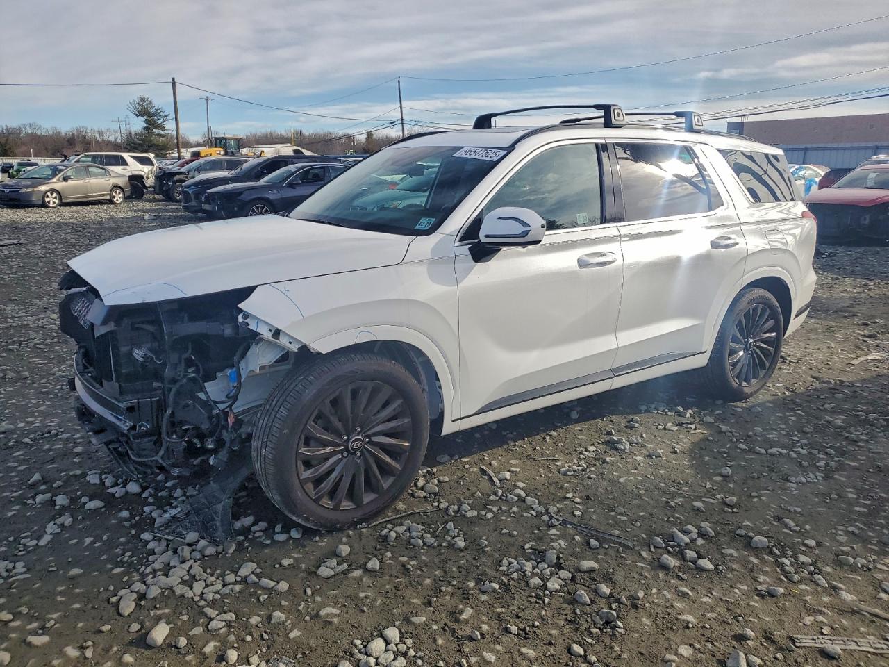 HYUNDAI PALISADE CALLIGRAPHY