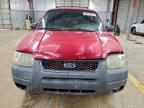 Lot #3303989697 2002 FORD ESCAPE XLT