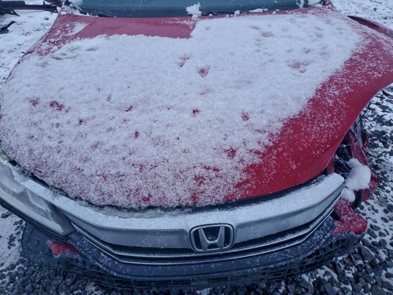 Lot #3315794350 2016 HONDA ACCORD SPO