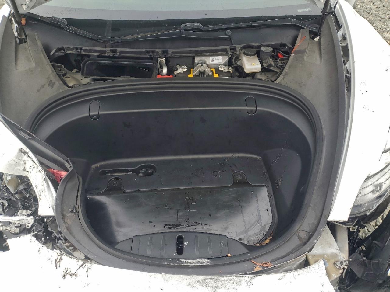 Lot #3318147436 2019 TESLA MODEL 3