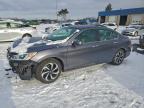 Lot #3305331357 2017 HONDA ACCORD EX