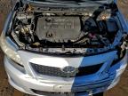 Lot #3303999676 2010 TOYOTA COROLLA BA