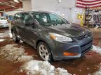 Lot #3312484629 2015 FORD ESCAPE S