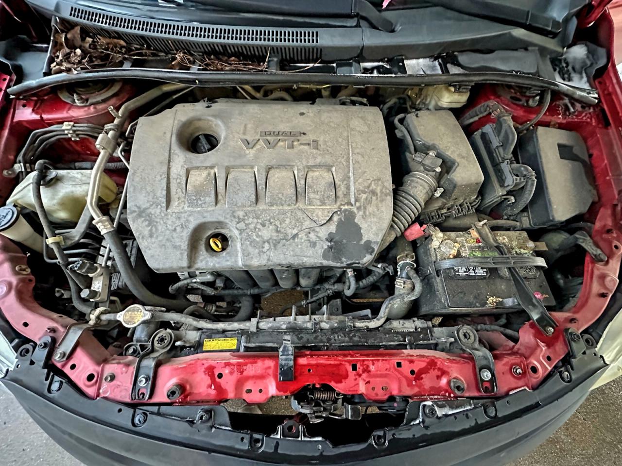 Lot #3308206172 2011 TOYOTA COROLLA BA