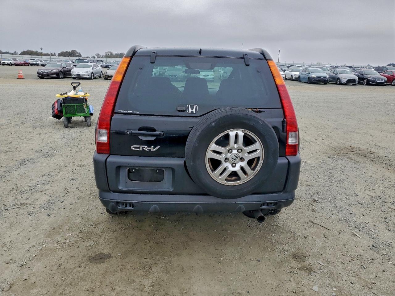 Lot #3305713753 2004 HONDA CR-V EX