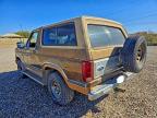 Lot #3315580780 1983 FORD BRONCO U10