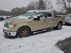 Lot #3304692936 2010 FORD F150 SUPER