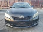 Lot #3304144506 2009 TOYOTA CAMRY BASE