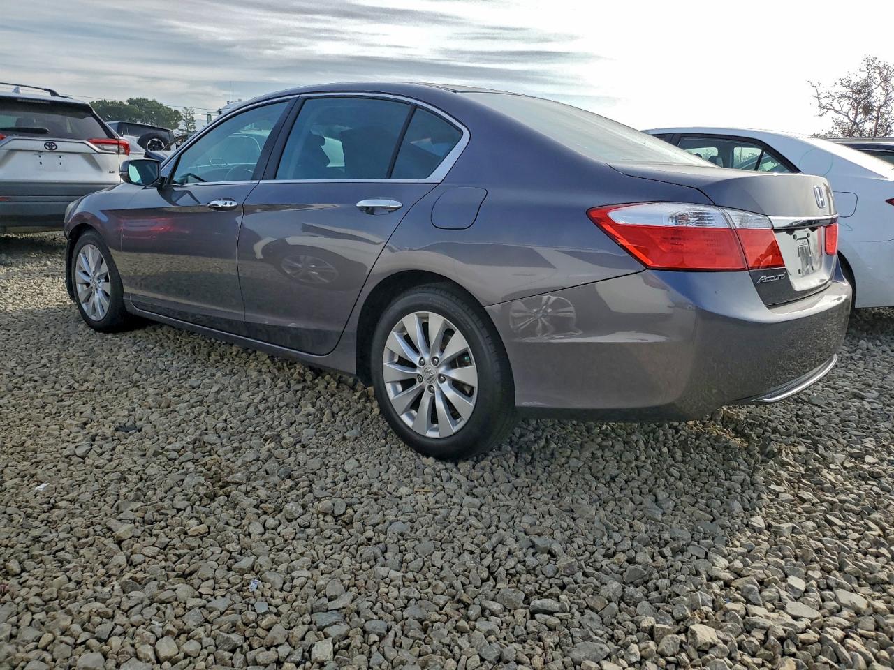 Lot #3318017480 2014 HONDA ACCORD EX