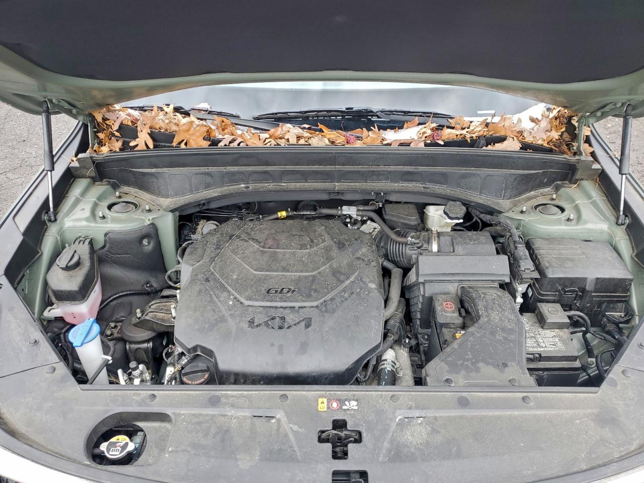 Lot #3318995324 2023 KIA TELLURIDE