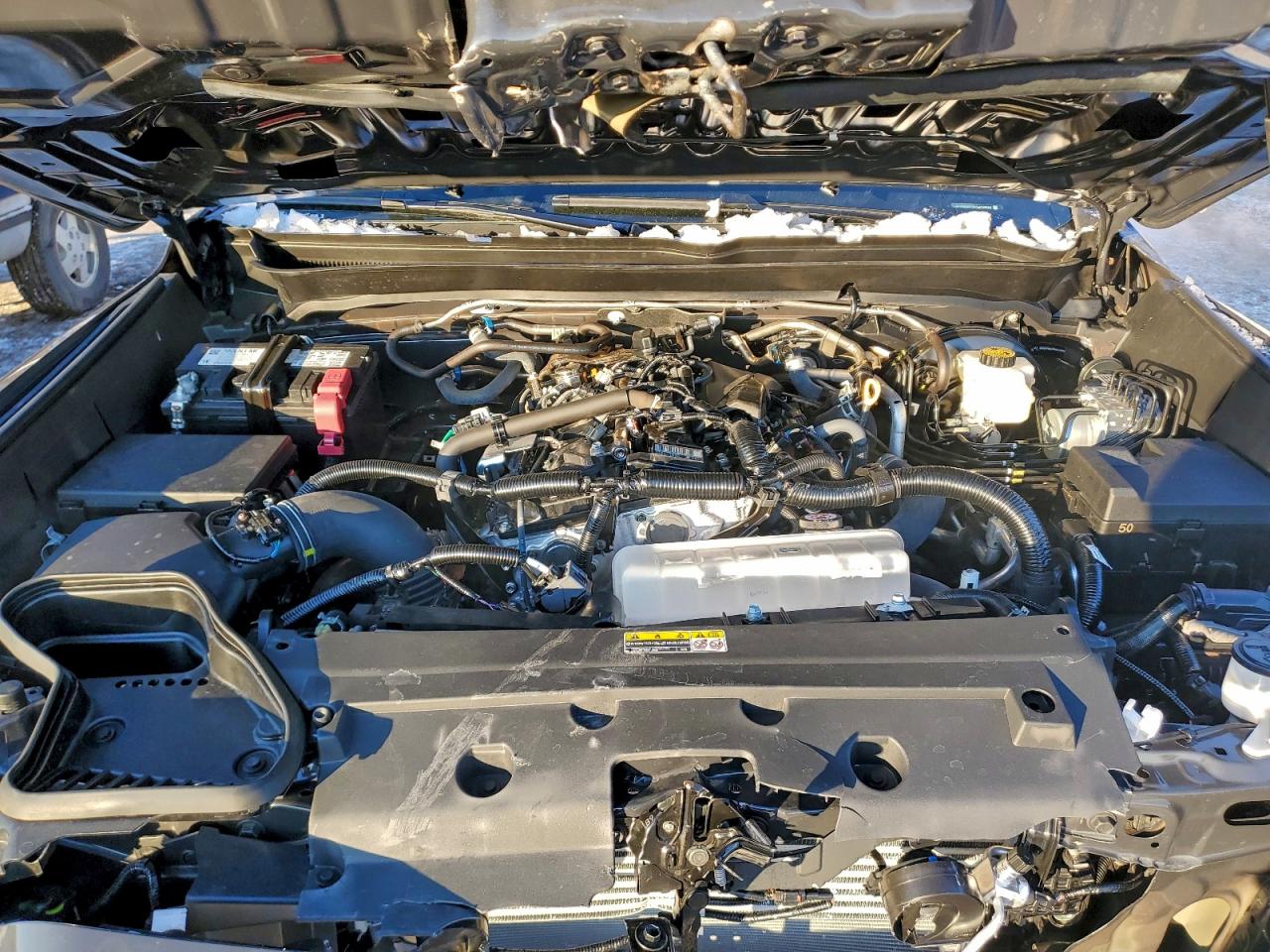 Lot #3316716462 2025 TOYOTA TACOMA DOU