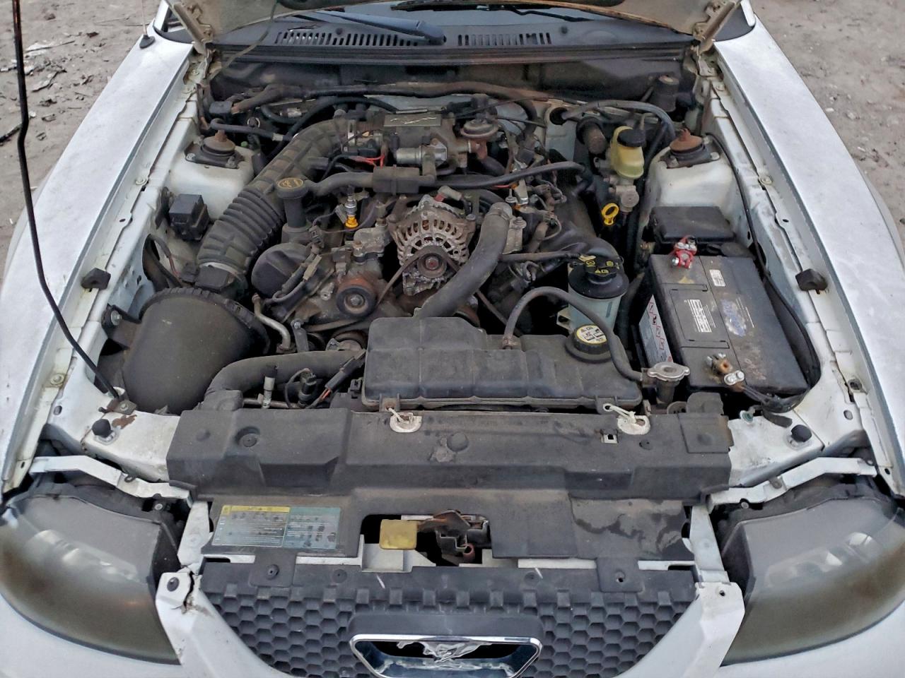 Lot #3303639929 2003 FORD MUSTANG GT