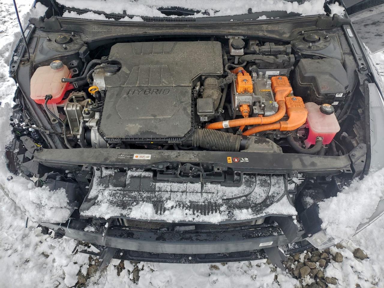 Lot #3311530279 2023 HYUNDAI ELANTRA BL