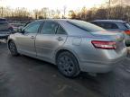 Lot #3305302329 2010 TOYOTA CAMRY