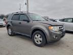 Lot #3304549456 2010 FORD ESCAPE XLT