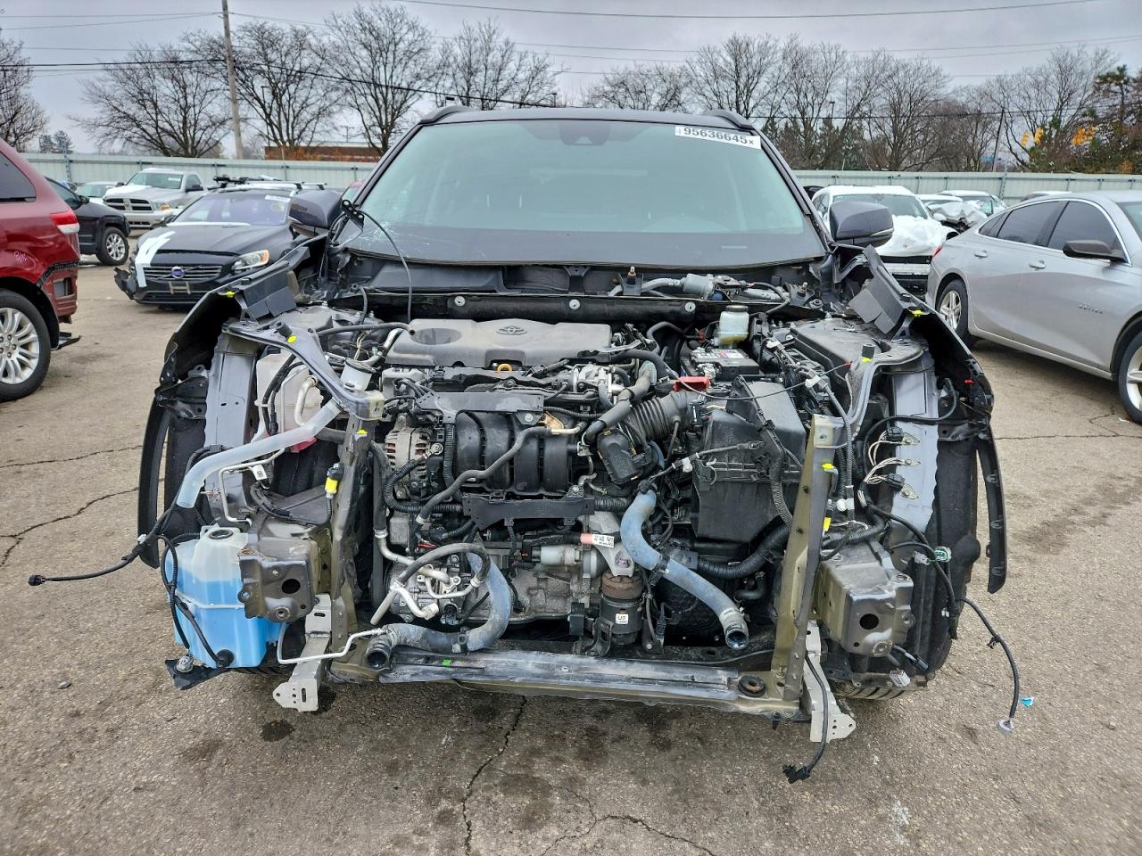 Lot #3309287656 2019 TOYOTA RAV4 XLE