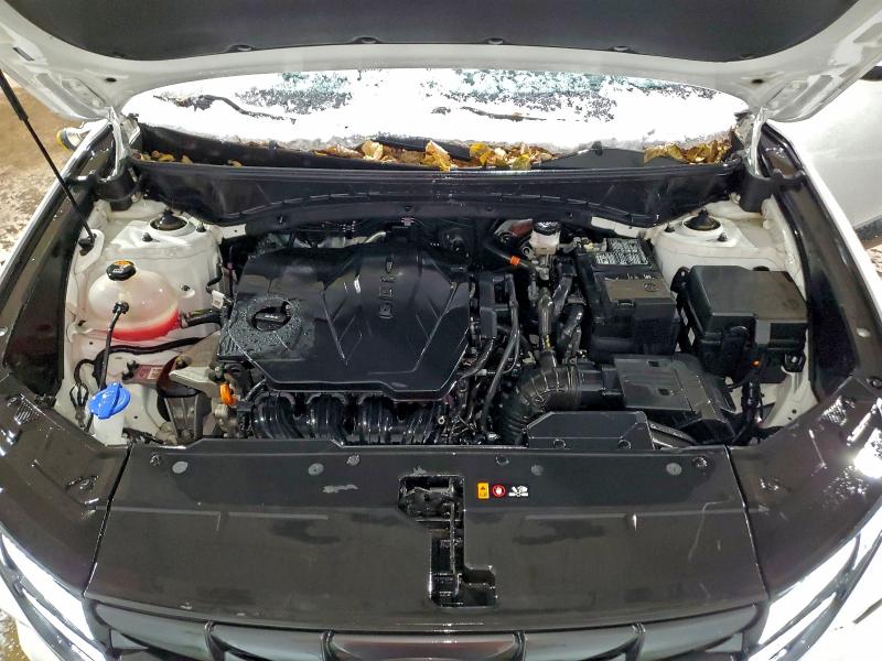 2024 HYUNDAI TUCSON SEL #3304581441