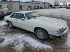 Lot #3317765068 1989 JAGUAR XJS