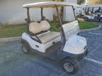 Lot #3303586942 2022 CLUB CAR TEMPO FLA