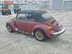 Lot #3305381330 1977 VOLKSWAGEN BEETLE CON