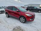 Lot #3309354009 2014 FORD ESCAPE TIT