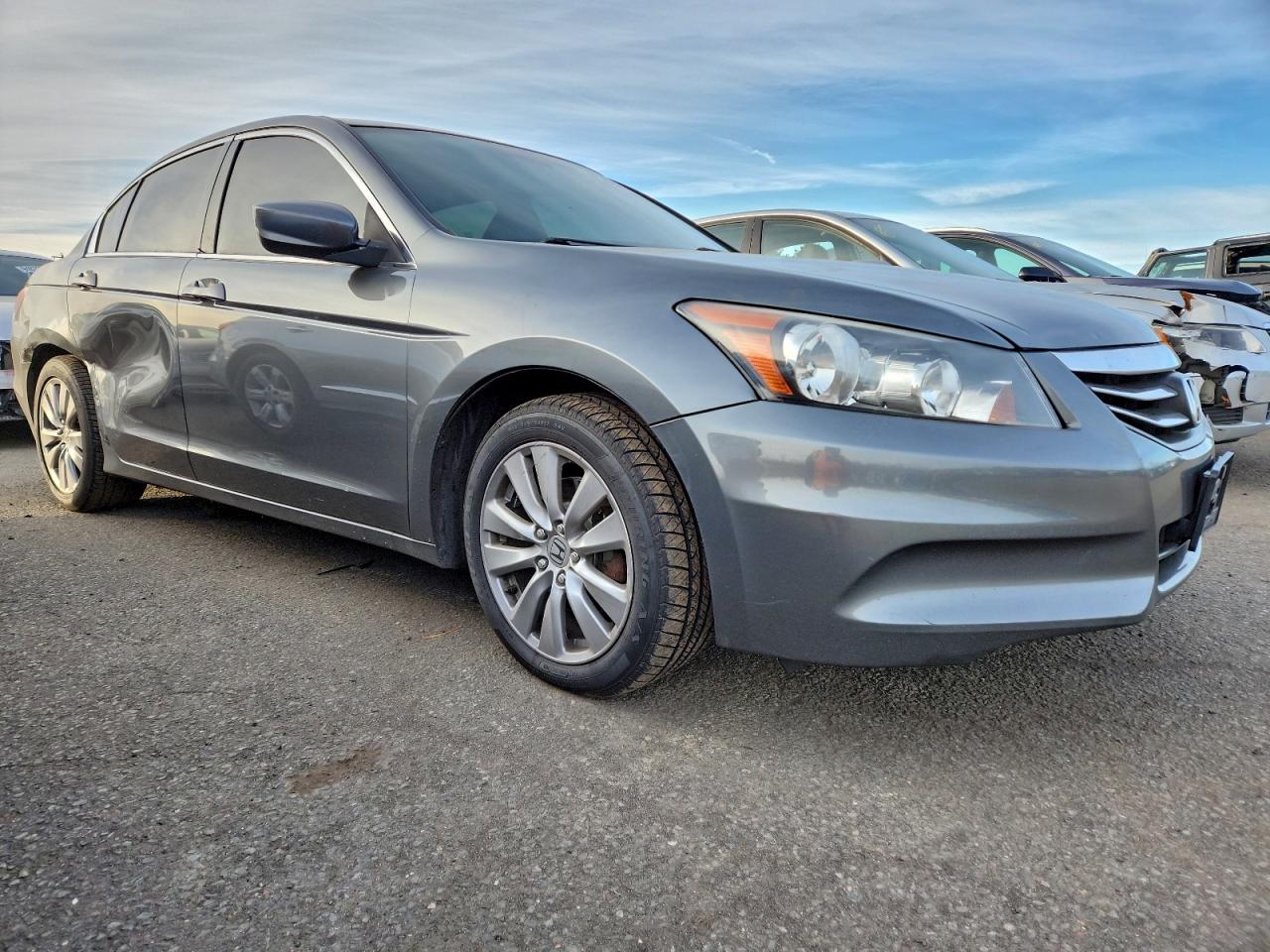 Lot #3310318048 2012 HONDA ACCORD EX