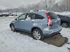 Lot #3302649036 2007 HONDA CR-V EXL