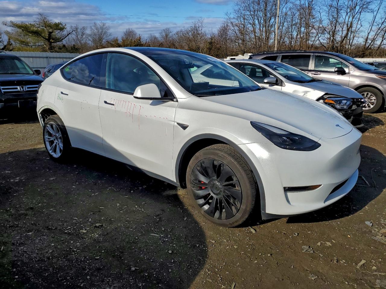 TESLA MODEL Y