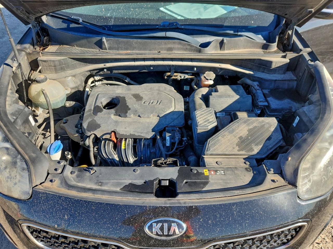 Lot #3311563237 2017 KIA SPORTAGE E