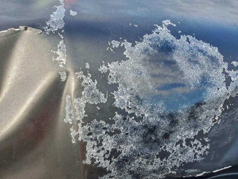 2009 DODGE RAM 1500 #3316067241